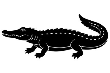crocodile vector illustration