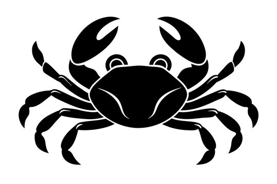 crab vector illustration