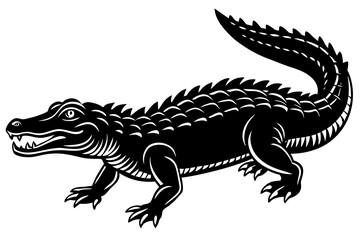 crocodile vector illustration