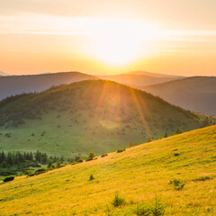 Sunset in mountains with forest, green grass and sun on sunset dramatic sky