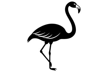 Obraz premium flamingo vector illustration