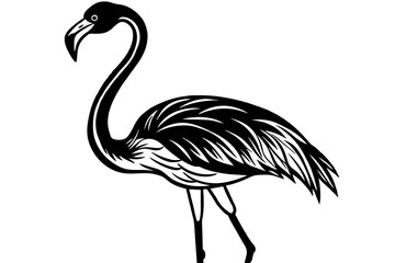 flamingo vector illustration