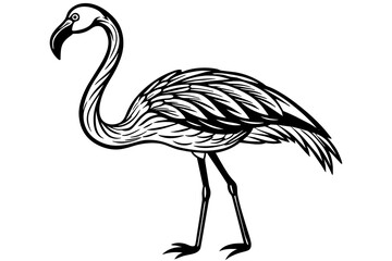 flamingo vector illustration