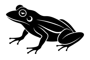 frog vector illustration