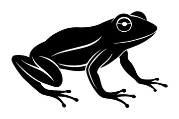 frog vector illustration