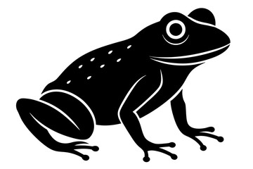 frog vector illustration
