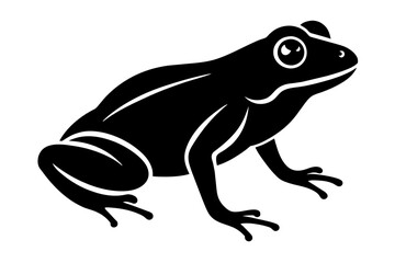 frog vector illustration