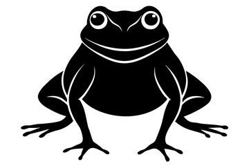 frog vector illustration