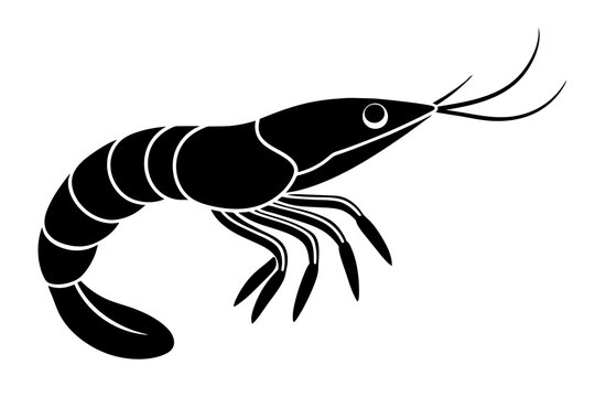 recommend clip art: shrimp fish silhouette  vector illustration