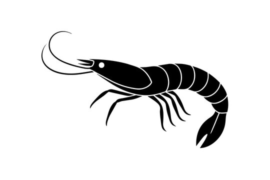 recommend clip art: shrimp fish silhouette  vector illustration