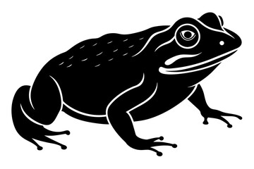 toad silhouette vector illustration