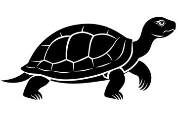turtle silhouette vector illustration
