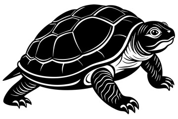 turtle silhouette vector illustration