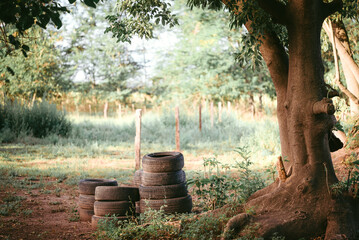 Old tyres in a rural scene