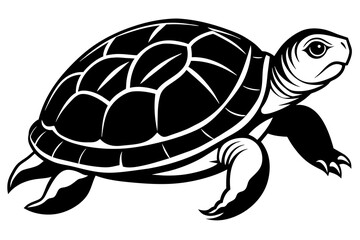 turtle silhouette vector illustration