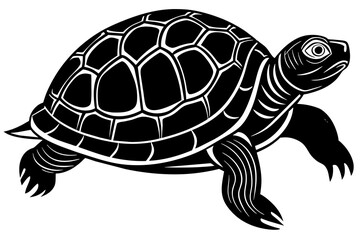 turtle silhouette vector illustration