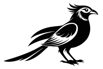 Fototapeta premium silhouette image,Iago bird,vector illustration,white background