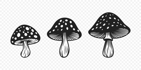 Vector Black and White Hand-Drawn Cartoon Mushrooms. Mushroom Illustration, Mushrooms Collection, Hand-Drawn Mushroom Design Template