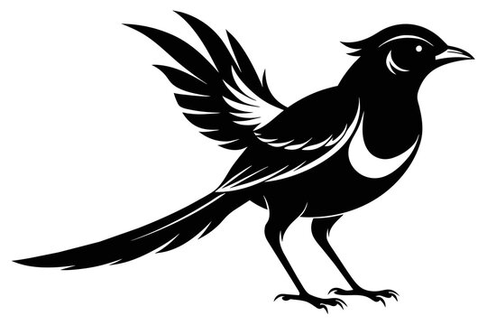 silhouette image,Indigo bird,vector illustration,white background