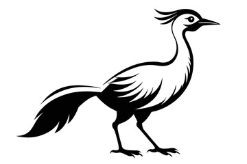 silhouette image,Kai bird,vector illustration,white background