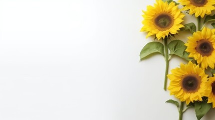sunflower decoration on a white background, perfect for wedding design