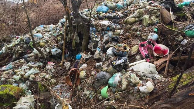 heaps of garbage slide into the forest, onto a delicate fragrant field of spring flowers, snowdrops, primroses, white flowers. Very rude, uncultured, uncivilized