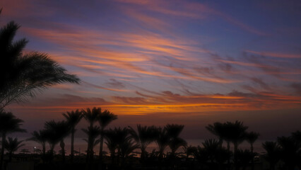 Fototapeta na wymiar Palms on resort beach and sunrise over sea