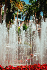 fountain in the park coral gables miami 