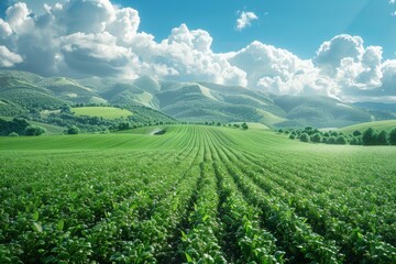 Fototapeta na wymiar Background of a farm field landscape in 3D modern format