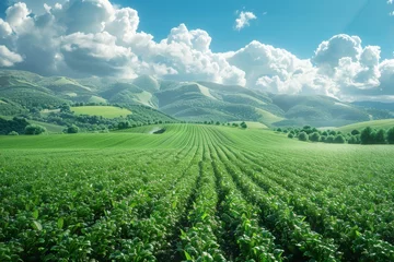 Foto op Plexiglas Background of a farm field landscape in 3D modern format © DZMITRY
