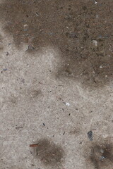 prints on the ground