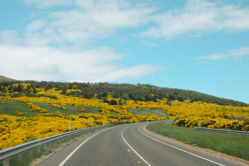 road in the countryside