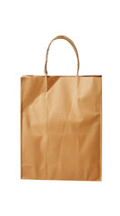Blank Brown Paper Shopping Bag
