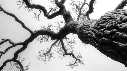 Frozen Beauty: Textured Bark and Branch Patterns, generative ai