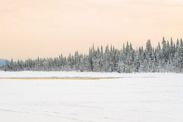 Rivière gelée au milieu d'une étendue de neige et devant une forêt  en Laponie en Suède - obrazy, fototapety, plakaty