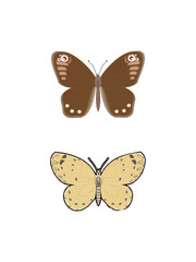 Set of Stylist Butterfly vector illustrations