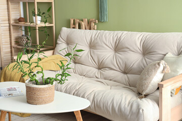 Stylish interior of green living room with bamboo stems on coffee table and sofa