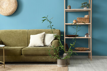Interior of blue living room with bamboo stems and sofa