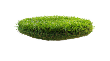 Green Grass Clump Isolated
