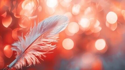 Delicate white feather on a vibrant red bokeh background. Love and tenderness concept for greeting cards and romantic banners.