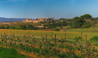 Fototapeta na wymiar Carcassonne Citadel 