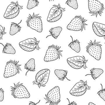 Strawberry seamless pattern, vector strawberries line art illustration, hand drawn botanical outline illustration. Monochrome drawing. For coloring book, background, pattern, packaging, logo, textile.