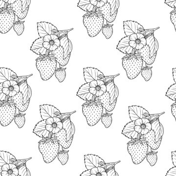 Strawberry seamless pattern, vector strawberries line art illustration, hand drawn botanical outline illustration. Monochrome drawing. For coloring book, background, pattern, packaging, logo, textile.