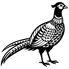 Pheasant silhouette vector illustration svg file