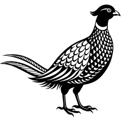 Pheasant silhouette vector illustration svg file