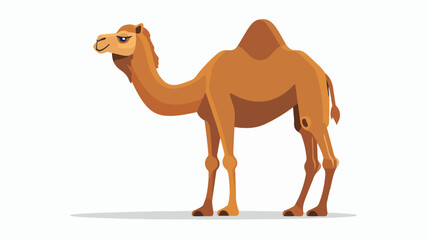 Illustration of a camel on white background flat ca