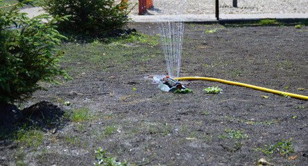 automatic water sprinkler for watering the lawn or garden. watering the ground with grass seeds....