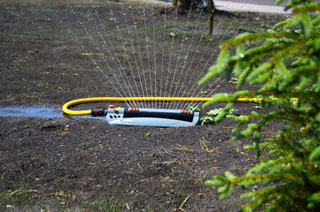 automatic water sprinkler for watering the lawn or garden. watering the ground with grass seeds....