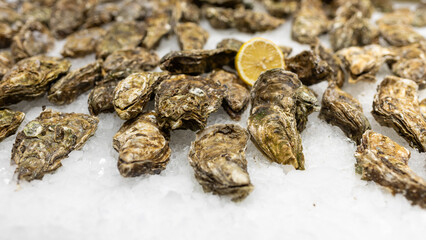 Fresh Oysters on the counter on ice in store. Oysters for sale at the seafood market. Aphrodisiac...