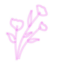 pink rose with ribbon